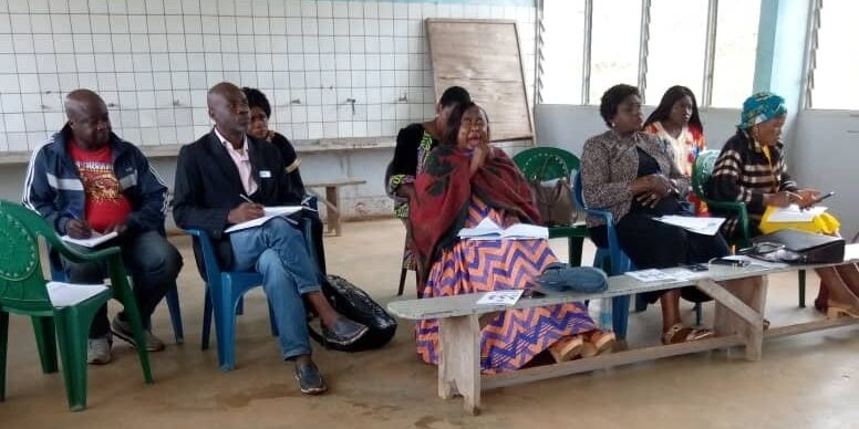 Bangem Training of CHWs on the BornFyne – PNMS Features