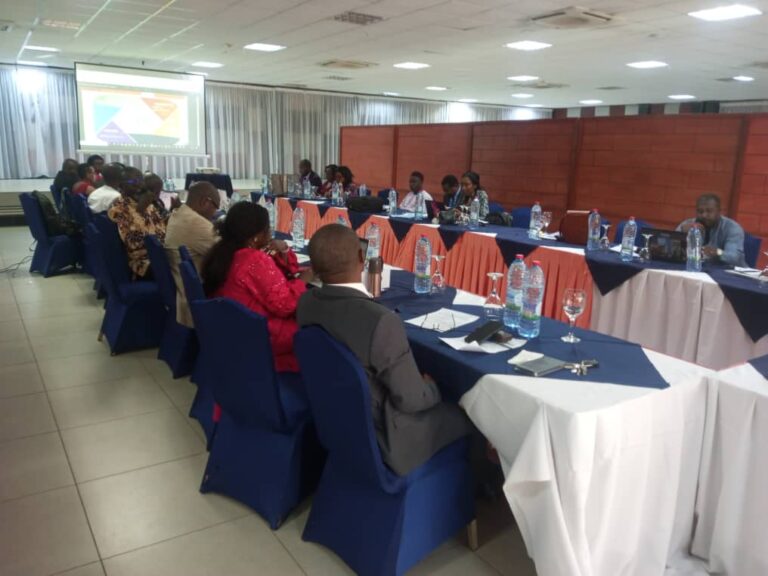 Malaria in pregnancy workshop with Ministry. Armel will give details