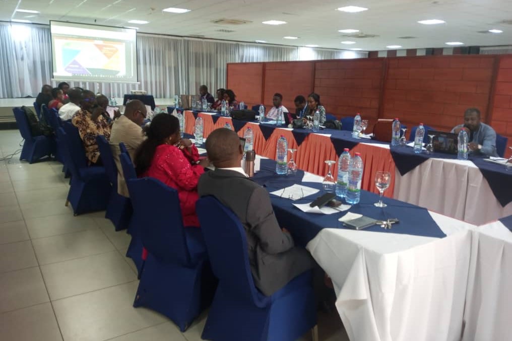 Malaria in pregnancy workshop with Ministry of public health